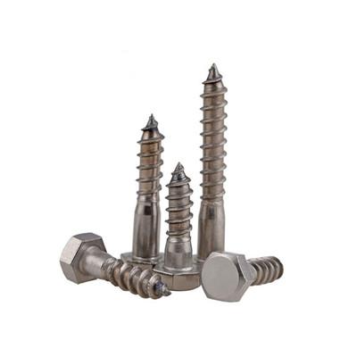 Lag Screws 